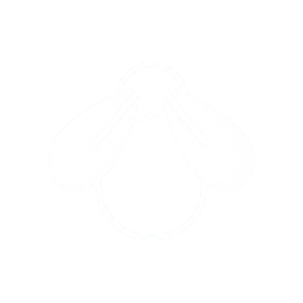 FilesFly Logo